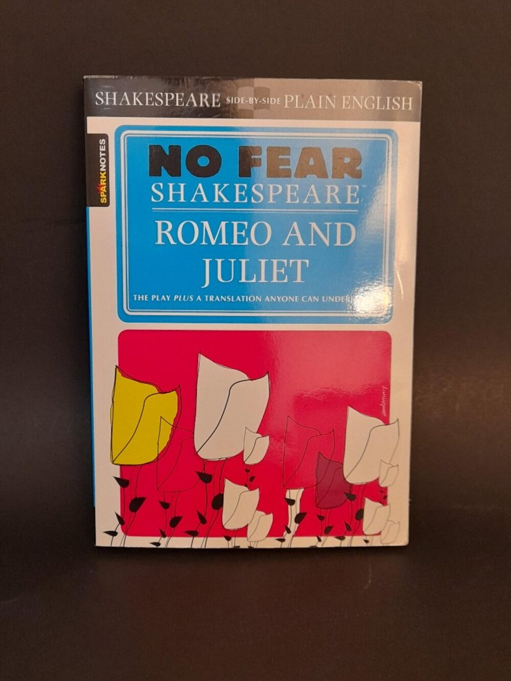 No Fear Shakespeare Romeo & Juliet Book